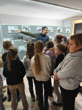 5ec8ae13-b0a1-4a6d-8538-8f2d61aa2336.jfif