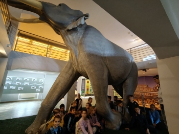 6e9b0c0b-c872-41ef-a276-20d23ab90713.jfif