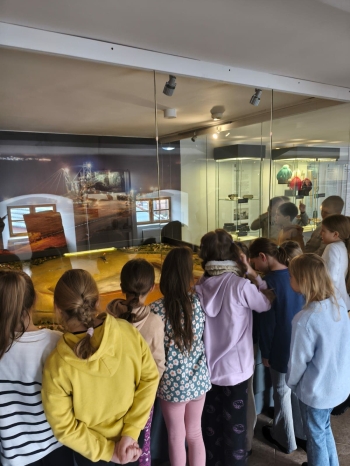 15f90c0c-1ce3-40da-9e7f-14ffaaadc12e.jfif