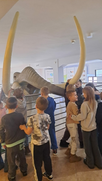 838b083a-6fac-47b1-a30d-04400016aa7c.jfif