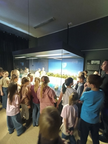 bb7e535a-e109-4158-a7de-fca3843a1566.jfif