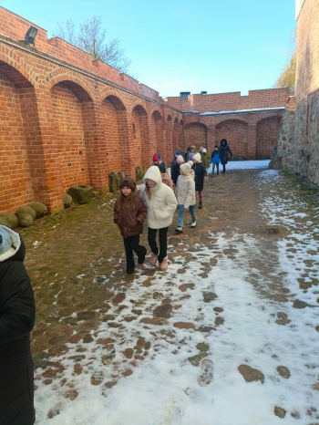 c736d9ea-4cce-4fc1-9f46-2899e419b0ce.jfif