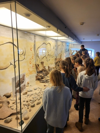 f94e583a-10f5-4705-9419-1bfe2efc77de.jfif